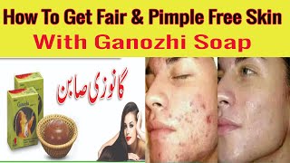 How To Get Fair And Pimple Free Skin With DXN Ganozhi Soap||Benefits Of Ganozhi Soap
