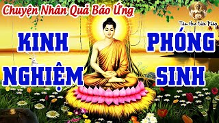 Chuyện Nhân Quả Báo Ứng, PHÓNG SANH GIẢI NGHIỆP - Sai Lầm Cần Tránh Khi Phóng Sinh Để Được PHÚC BÁU