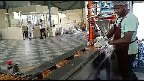 PLC MODEL Rusk , Biscuit,Tost Packing machine Family pack