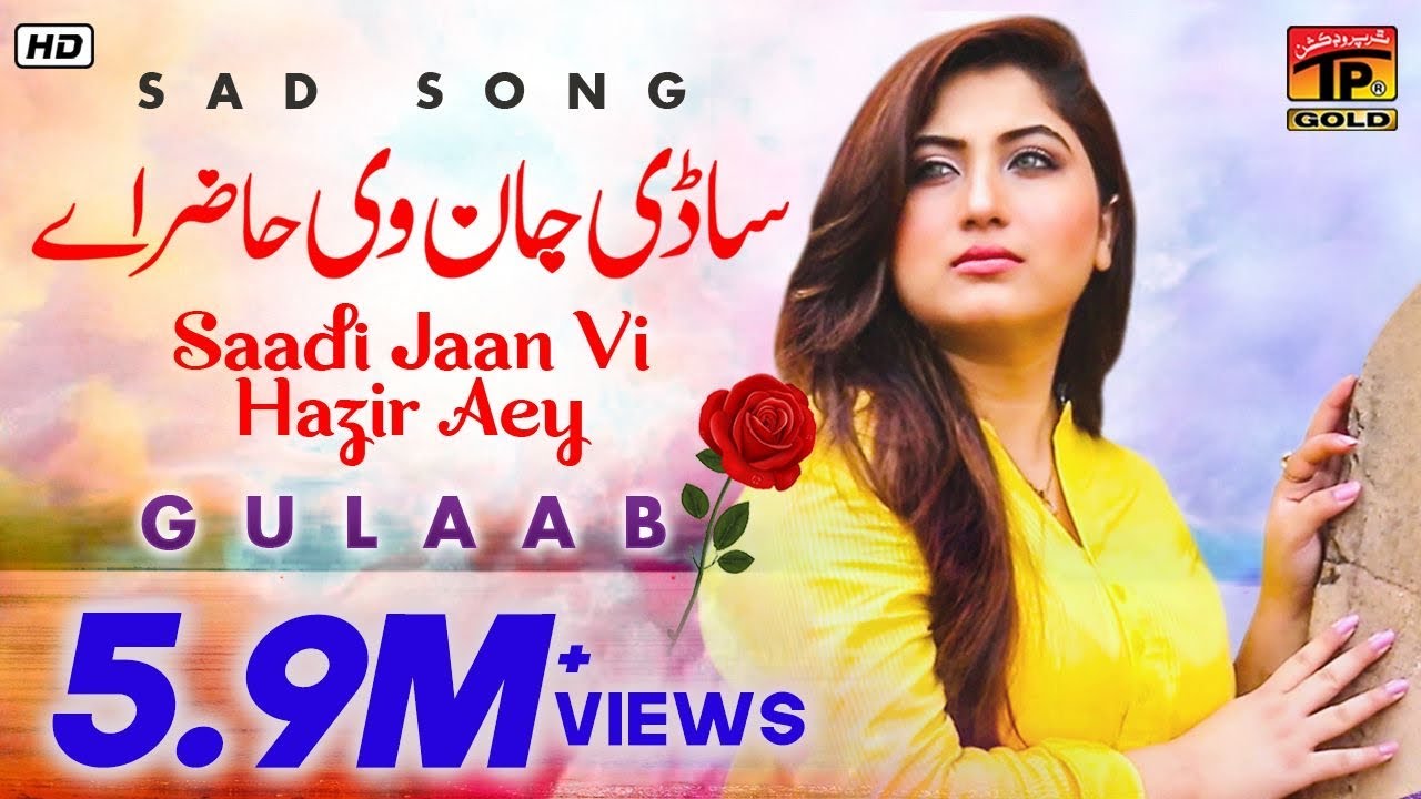 Gulaab  Sadi Jaan   Latest Punjabi Songs  TP Gold