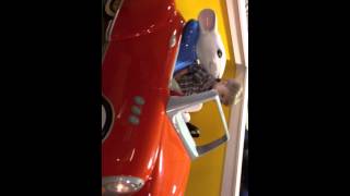 James At Braydens Birthday At Monkey Joes 2013