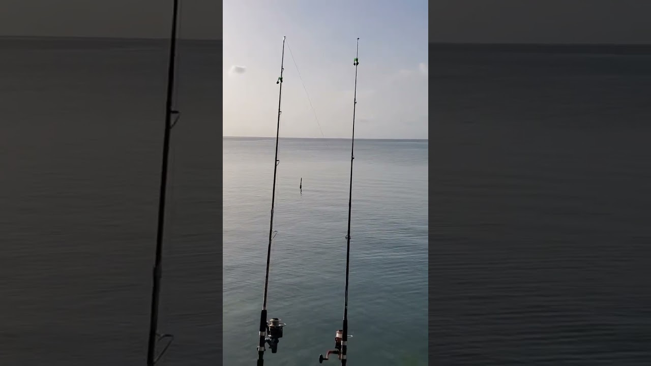 All Day Fishing, No Catch! The Struggle is Real 🇯🇲💦” 