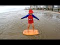 Pequeno homem aranha na praia agua viva bolacha do mar