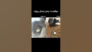 وضعیت 😂🥲