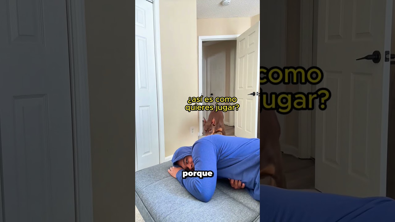 ¿Qué pasa si finges dormir frente a tu perro?