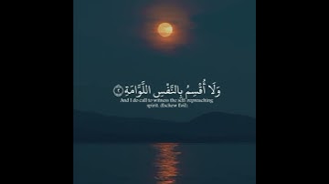 قرآن كريم بصوت شريف مصطفى// حالات واتس اب دينية 💕💜 تلاوة خاشعة