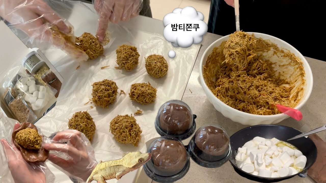 🤢본격 밤티 두쫀쿠 만드는 브이로그🍪