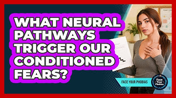 What Neural Pathways Trigger Our Conditioned Fears? - Face Your Phobias