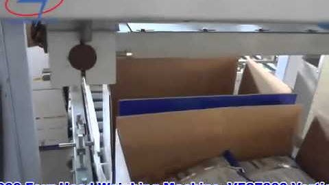 Automatic Seeds  Packing and Cartoning Line - Zengran Pack