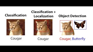 Image Classification with Auto ML Vision Step by Step ??