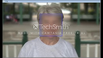 Machine Vision Face detection and blurring 2