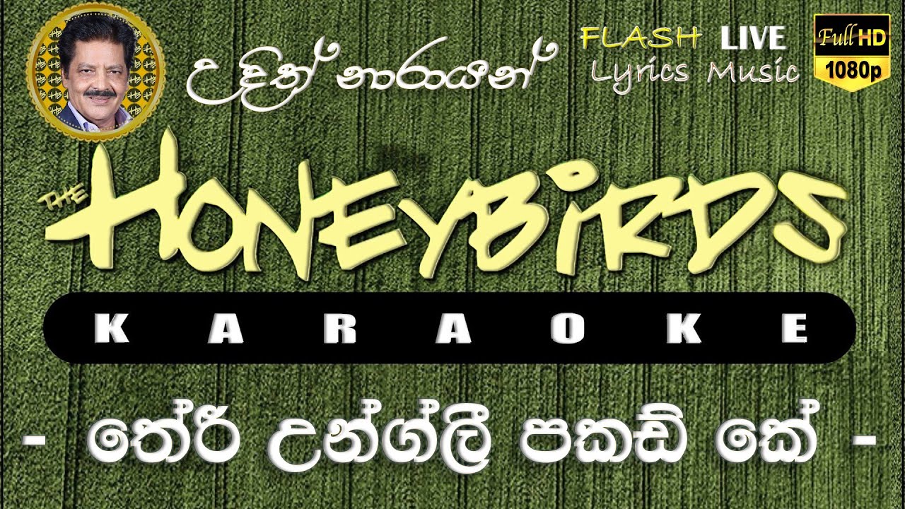 Teri Ungli Pakad Ke Chala Karaoke (Without Voice) තේරී උන්ග්ලී පකඩ් කේ චලා කැරෝකේ