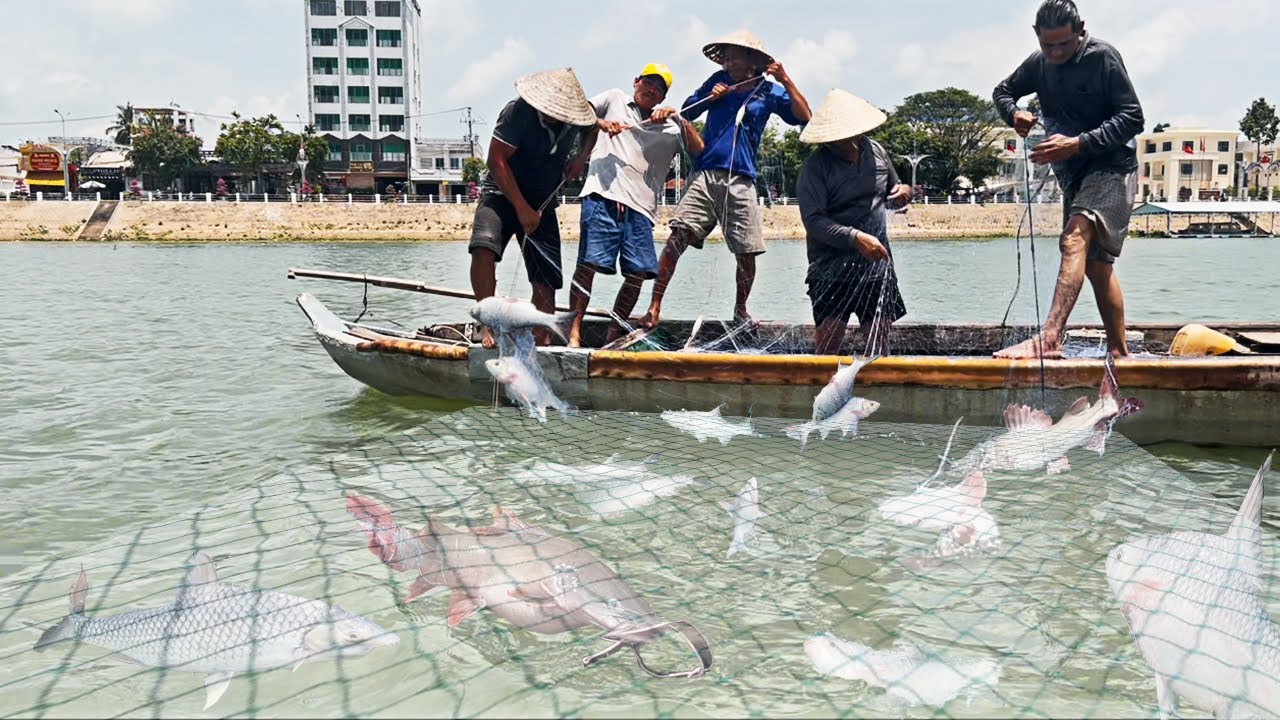 Vui đời vẫy vùng nghề lưới trầm sông Tân Châu - Sông Nước Cửu Long - Nguyễn Hùng