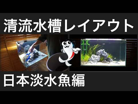 清流水槽レイアウト 60センチで日本淡水魚水槽を制作してみた Xanh Cn