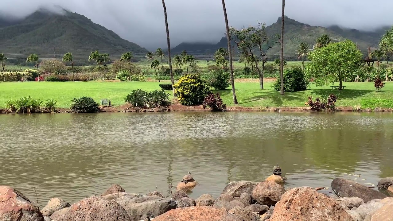 Relaxing Beautiful Waikapu Maui Hawaii USA YouTube