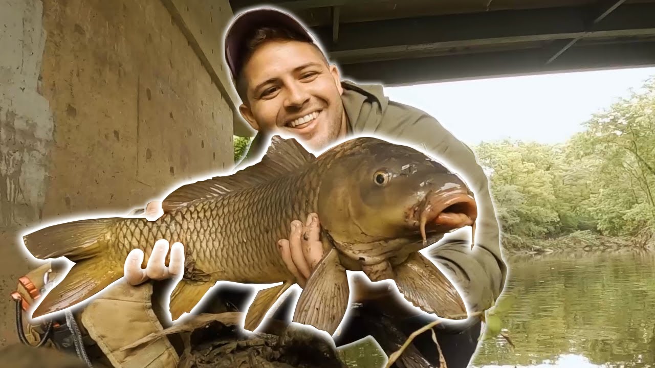 I LOST my new PB Carp! European style Carp Fishing a Kansas Creek!