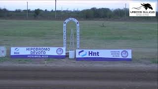 GRAN PREMIO NACIONAL DE YEGUAS-HIPODROMO DE DEVOTO
