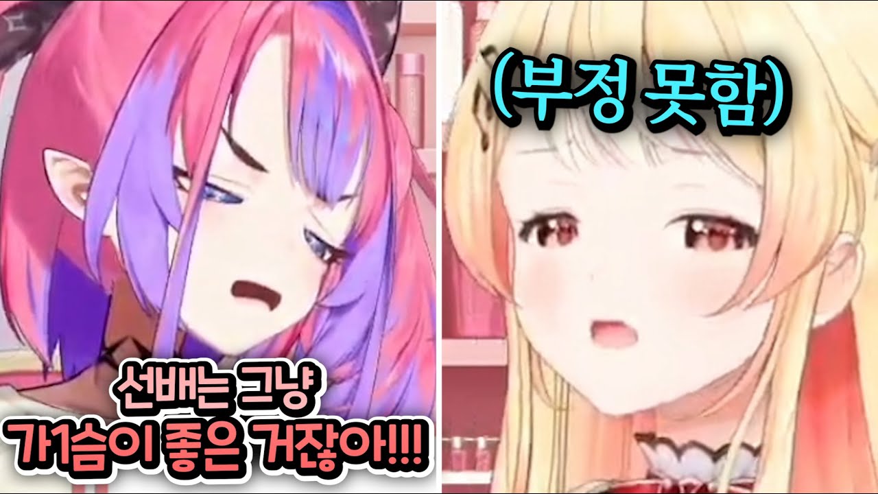 너무나도 투명한 카나데의 취향ㅋㅋㅋㅋㅋㅋㅋㅋㅋ [홀로라이브 | 키키라라 비비 | 오토노세 카나데]