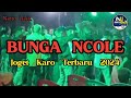 Lagu joget karo terbaru 2024  bunga ncole  narto uack