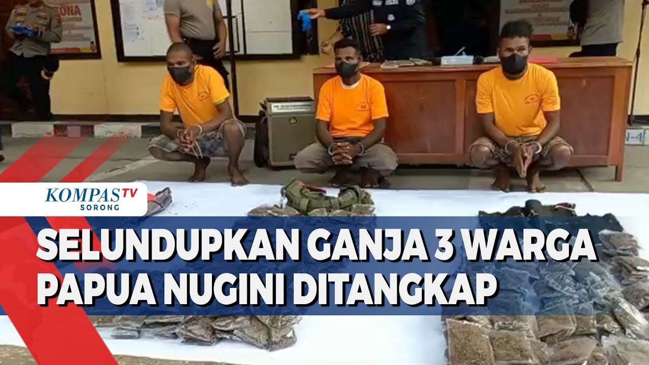 Polisi Tangkap 3 Warga Papua Nugini Pembawa 11 Kilogran Ganja