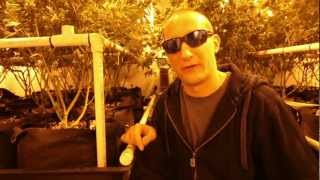 HIGH TIMES Grow Tips -- Containers