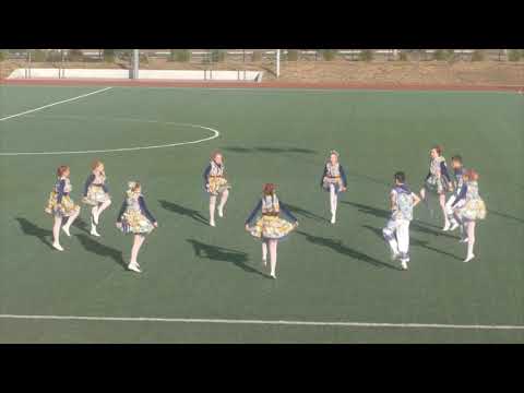 Хвостики метелики м Добропілля