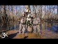 Arkansas duck hunting  5 man in the trees