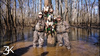 Arkansas Duck Hunting | 5 Man In The Trees