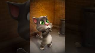 Talking tom eats sandwich