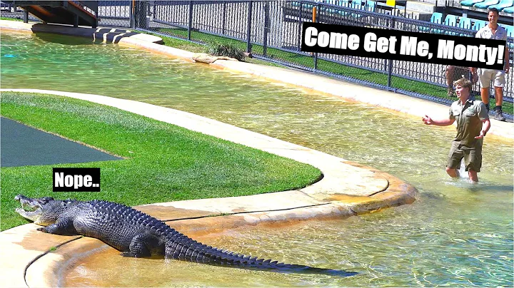 Monty only has eyes for Bindi | Irwin Family Croc ...