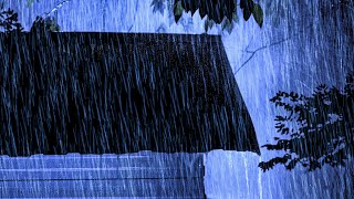 The Sound of Rain Falling on The Roof Says Goodbye to Insomnia & The Sound of Thunder in The Night.