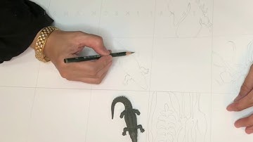 STUDY TO DRAW SHAPE by IRMA MURNI ISMAIL