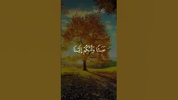 أفحسبتم أنما خلقناكم عبثا | تلاوة تهز القلوب للشيخ المنشاوي من سورة المؤمنون
