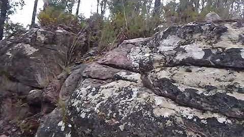 #Mudfossil beast on a ridge 2