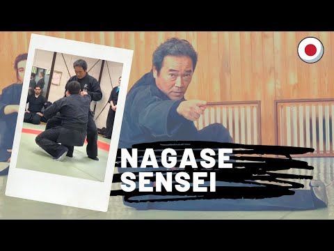 Bujinkan Budō Taijutsu: