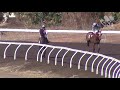 View race 4 video for 2021-07-14