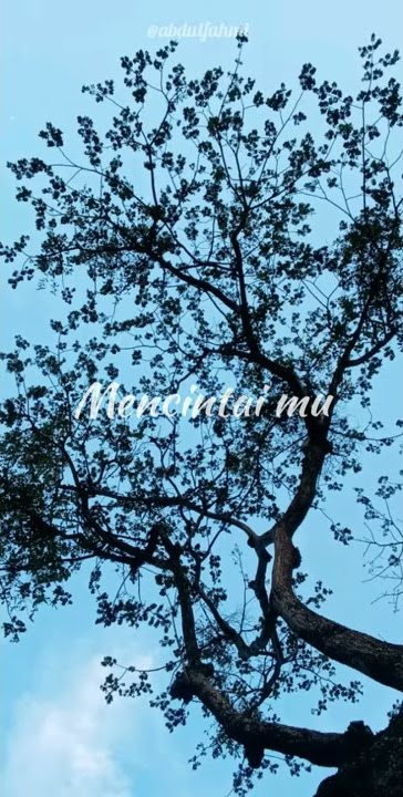 UNGU-DIRIMU SATU (STORY'WA)