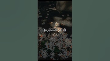 يوم تبيض وجوه ماتيسر من سورة آل عمران #قران #قرآن #راحة_نفسية #اكسبلور #فولو #اكسبلورر #اكسبلورفولو