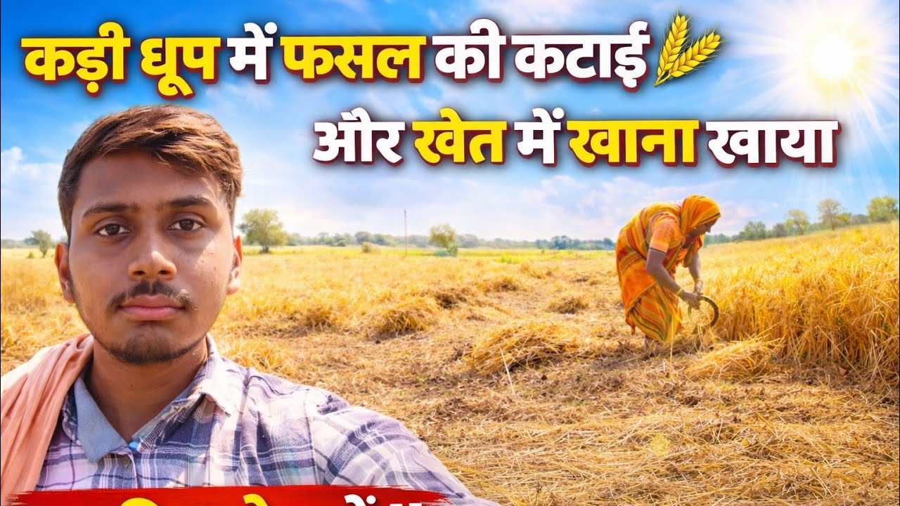 कड़ी धूप 🌞 में फसल की कटाई 🌾 और खेत में खाना 🍛खाया  | पूरा दिन खेत में ||