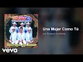 Los Rieleros Del Norte - Una Mujer Como Tú (Audio)