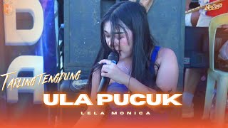 ULA PUCUK // CITRA NADA LIVE PESTA LAUT ASEM DOYONG // KEC.TAMAN - PEMALANG