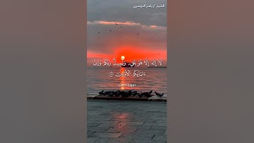 سورة الدخان من آية 8 إلى آية 15 بصوت الشيخ ياسر الدوسري♥♥