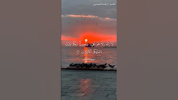 سورة الدخان من آية 8 إلى آية 15 بصوت الشيخ ياسر الدوسري♥♥