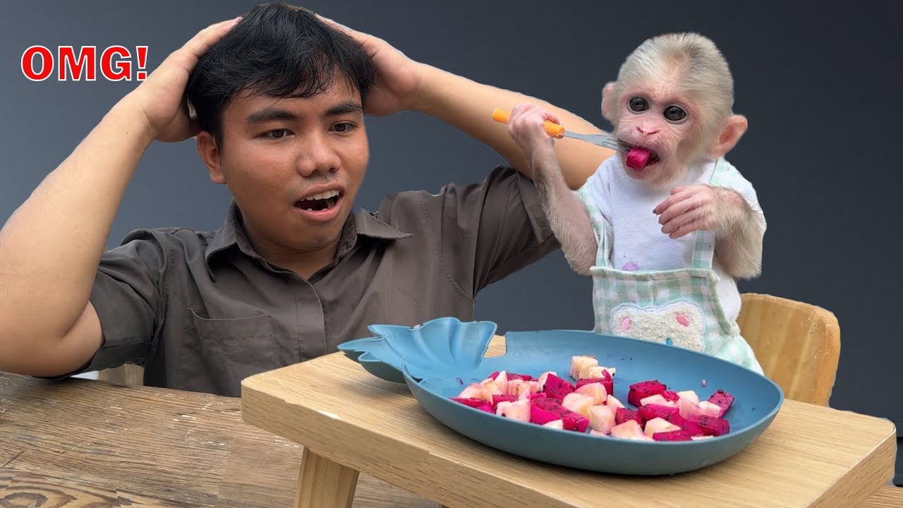 What did baby monkey Xuka do to surprise his dad so much?