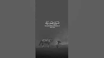 تلاوي مريحه للاعصاب|سوره الحجر|القارئ هزاع البلوشي #القران_الكريم #صلوا_على_النبي #فلسطين #غزة