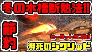 冬の水槽断熱法 ヒーター故障 瀕死のシクリッド 震える僕 アクアリウム Youtube