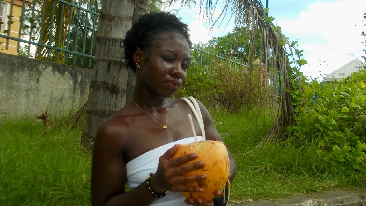 study abroad - Barbados (uwi - cave hill)