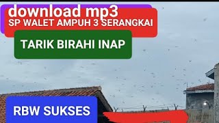 suara panggil walet ampuh birahi tarik dan inapkan ke rbw