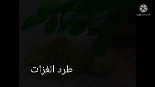 فوائد البردقوش - اعشاب للنساء / العطارة والتجميل