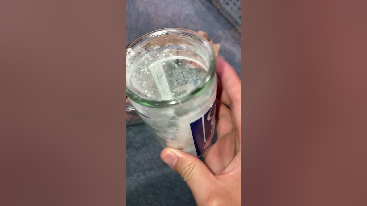 ダスティングコオロギの上手なやり方！🦗 Dusting Crickets Shorts 【ヨーロッパイエコオロギ・ニホンカナヘビ・活餌